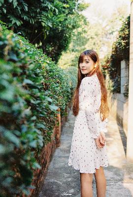 青青河边草免费高清电影